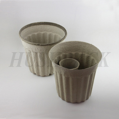 紙漿模塑的環(huán)保之力 上海郝軒包裝供應(yīng)紙漿托與包裝方案解析