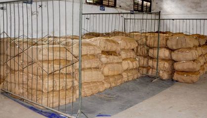 飛仙煙草站穩步推進均衡收購