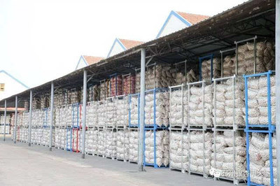 一棵樹、一塊板、一頭蒜,邳州現代農業這篇文章大有所為-財經頻道-手機